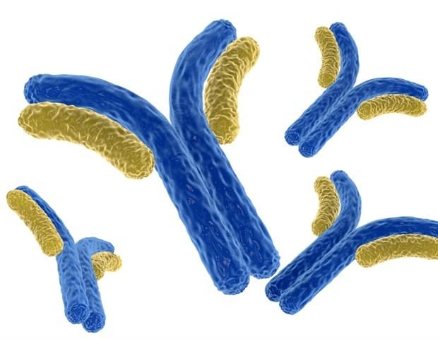 Antibody/Virus/Protein Production Process Development