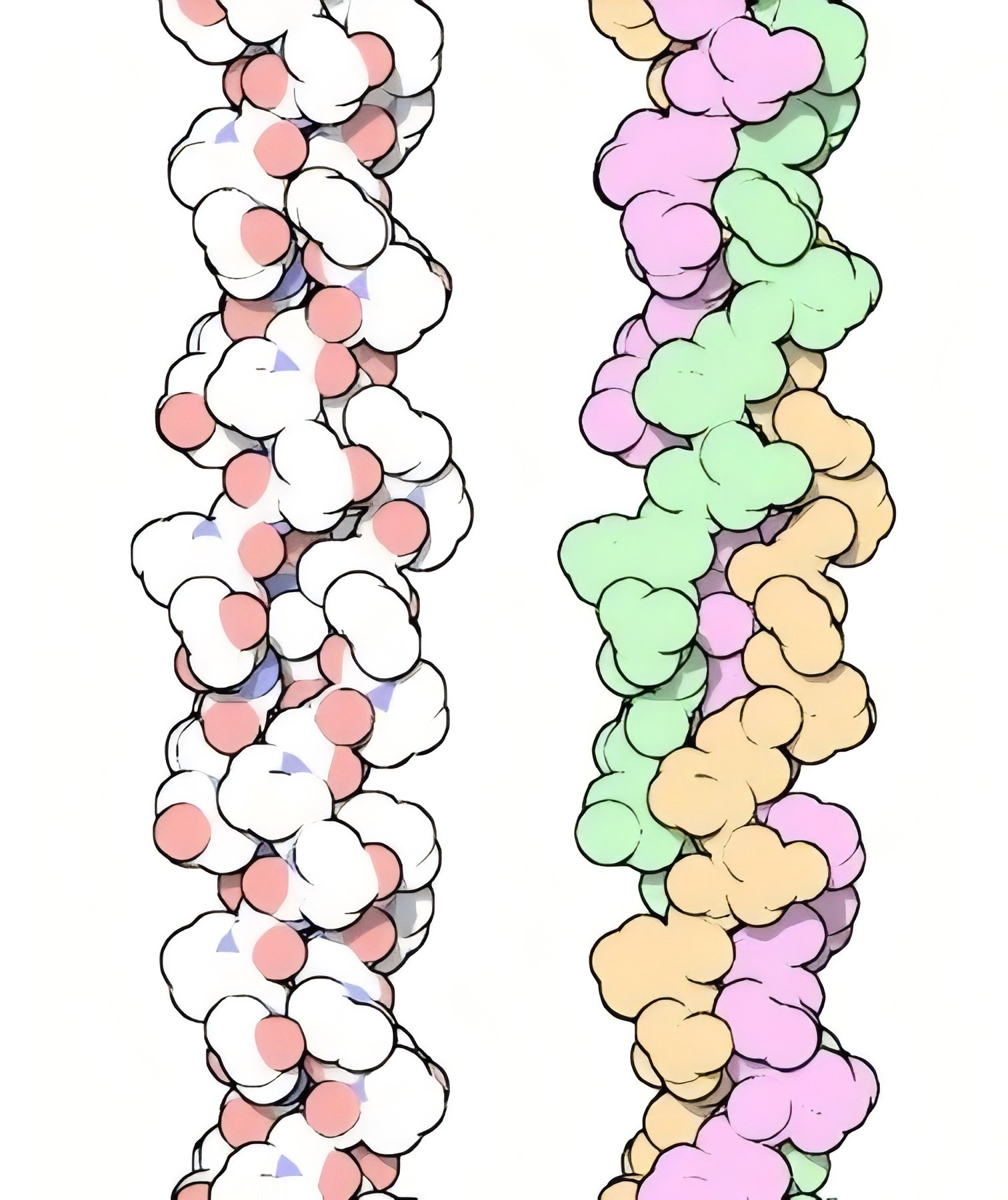 Human Protein Production Process Solutions